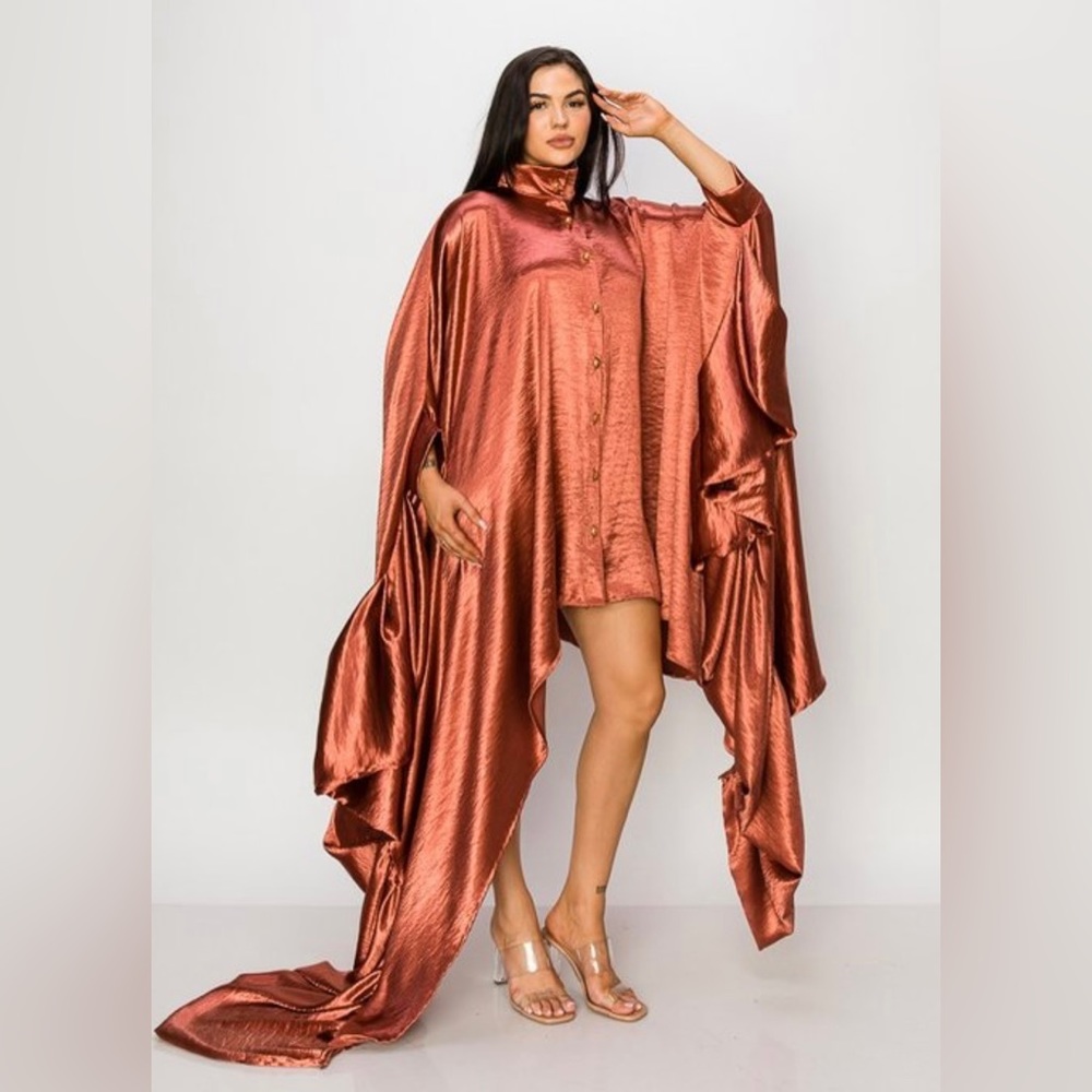 NEW SHOW STOPPER! Beautiful Rose-gold Dress/Top - Picture 2 of 4